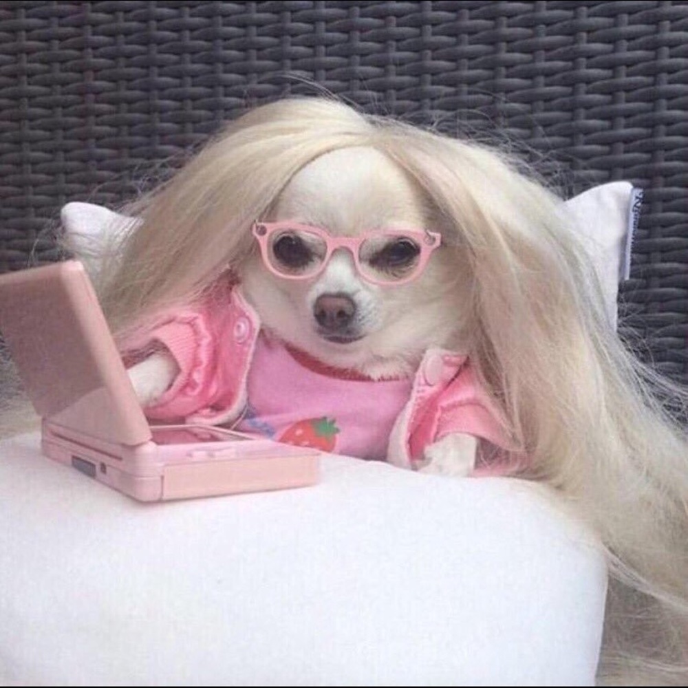 Meet your Posher, Mz